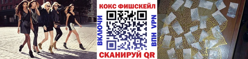 COCAIN Fish Scale  Купить  Ковылкино 