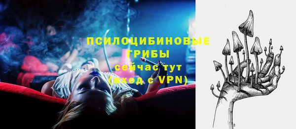 a pvp Заводоуковск