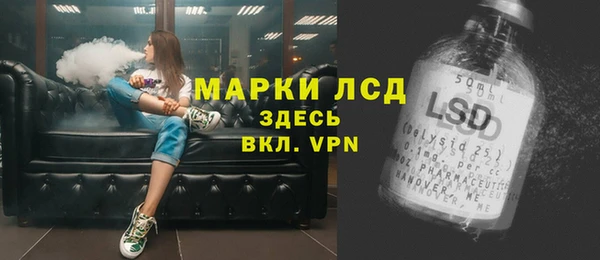 ГАЛЛЮЦИНОГЕННЫЕ ГРИБЫ Заволжье