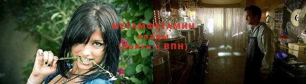 ГАЛЛЮЦИНОГЕННЫЕ ГРИБЫ Заволжье
