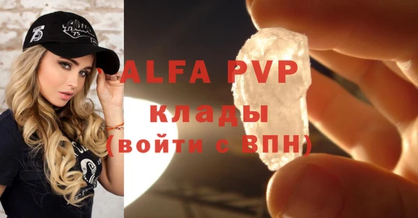 ГАЛЛЮЦИНОГЕННЫЕ ГРИБЫ Заволжье