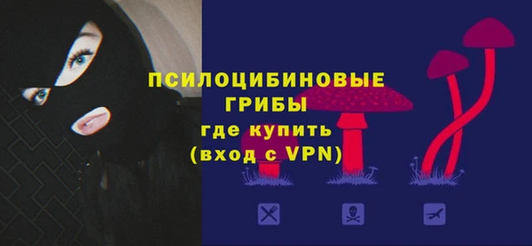 a pvp Заводоуковск