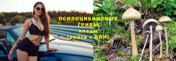 трава Елизово