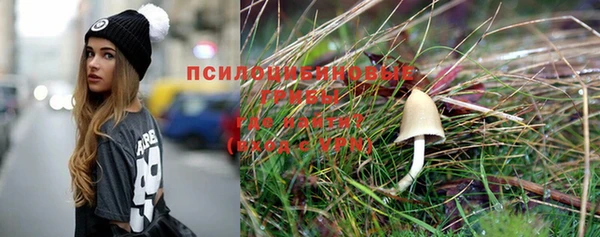 a pvp Заводоуковск