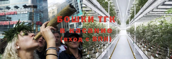ГАЛЛЮЦИНОГЕННЫЕ ГРИБЫ Заволжье