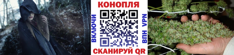 Купить где  Ковылкино  Конопля ГИДРОПОН 